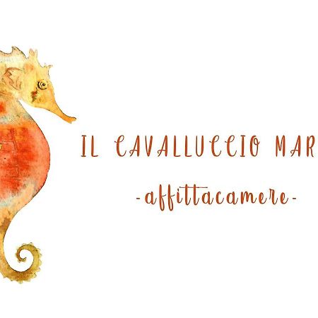 Il Cavalluccio Marino Manarola Extérieur photo