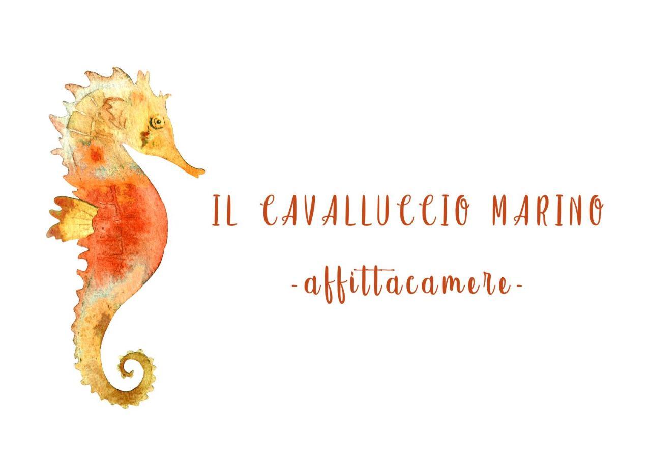 Il Cavalluccio Marino Manarola Extérieur photo