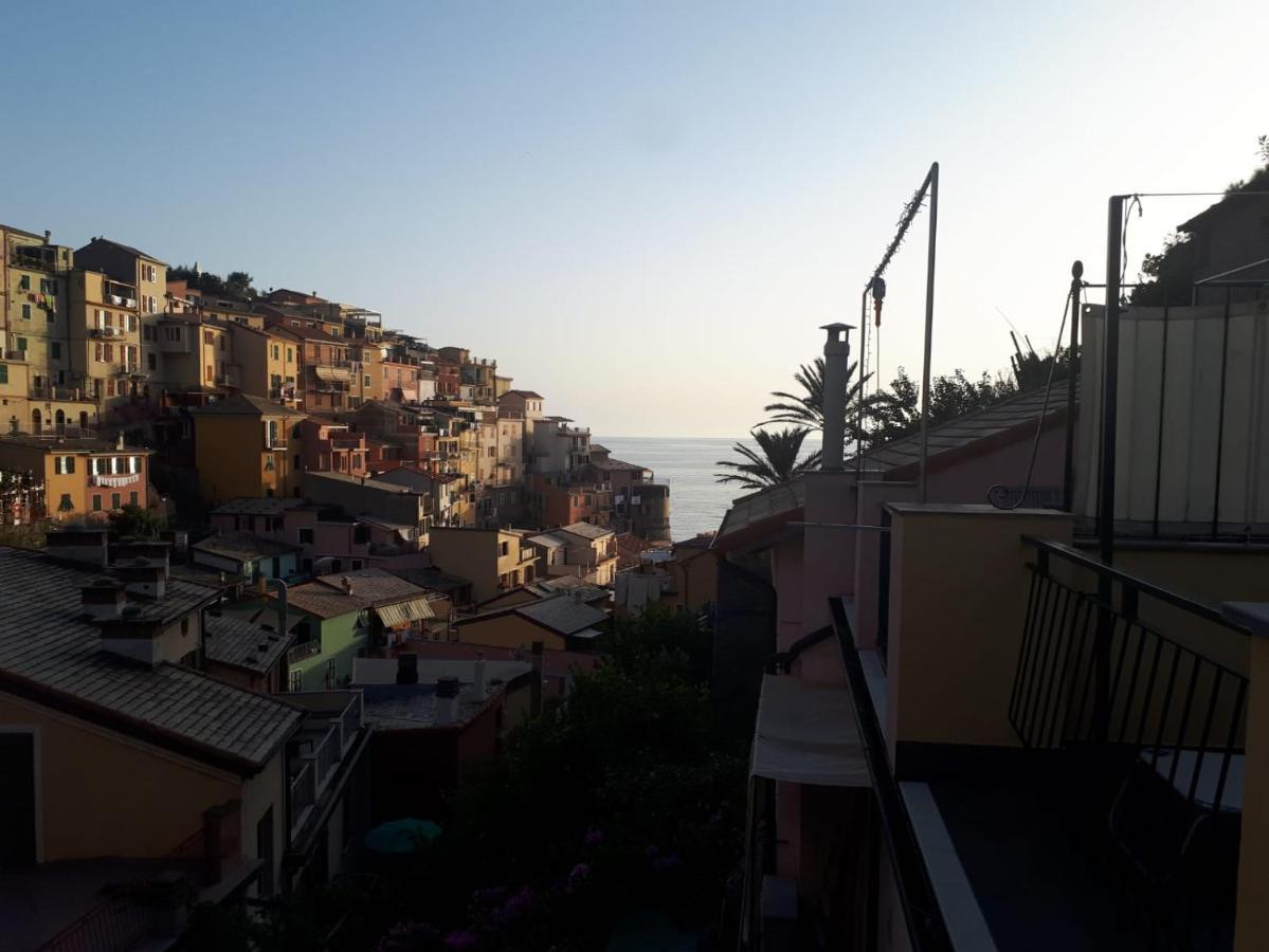 Il Cavalluccio Marino Manarola Extérieur photo
